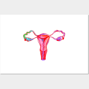 Uterus Posters and Art